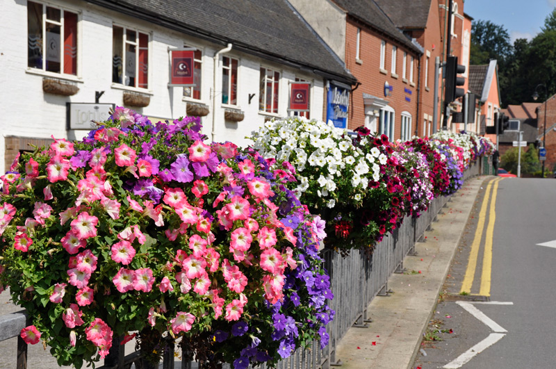 Flowers along the side of a road as a result of the festivals in Stone Flowers along the side of a road as a result of the festivals in Stone