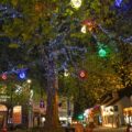 Stone Christmas Tree Lights
