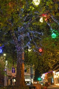 Stone Christmas Tree Lights