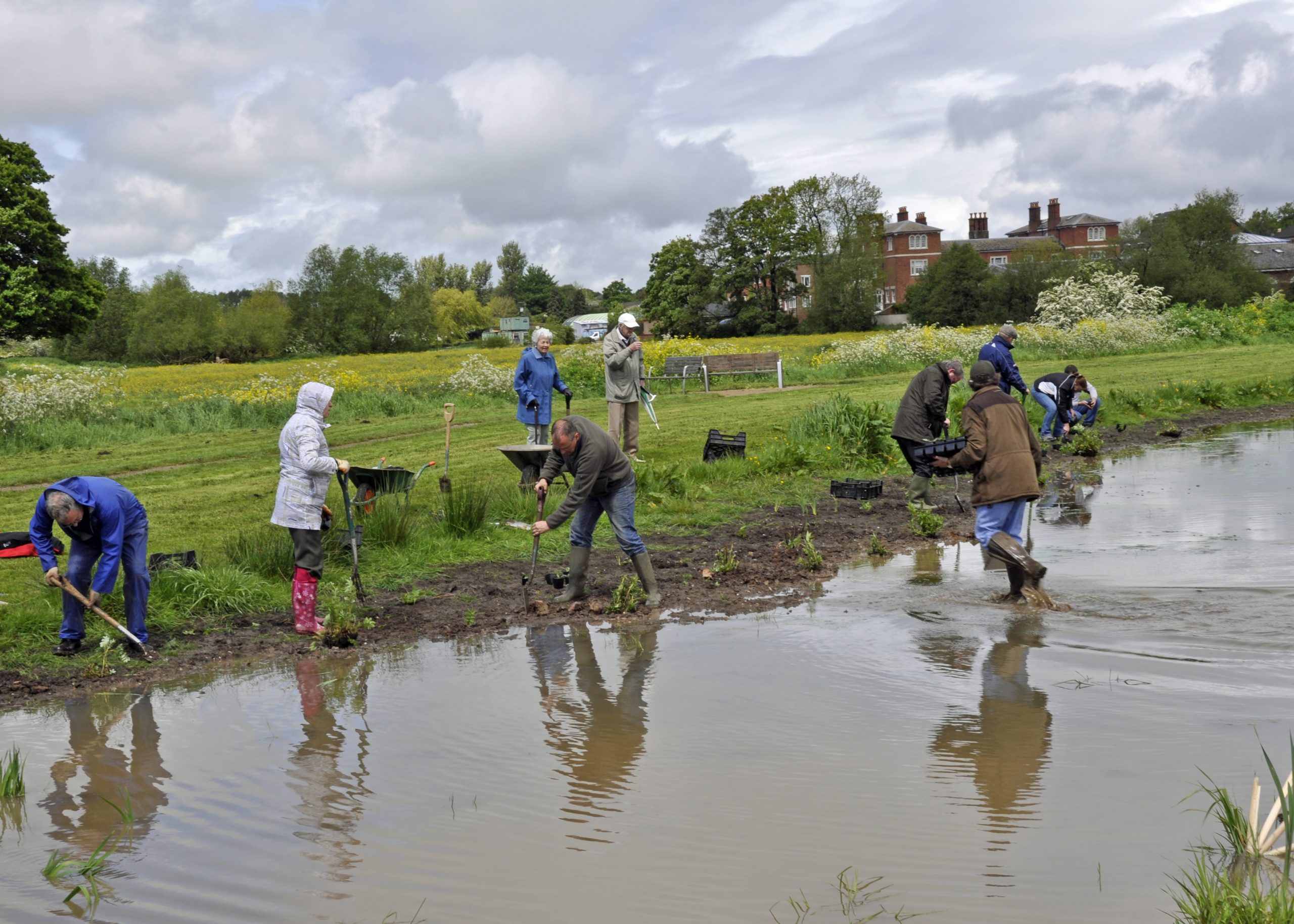 Stone Crown Meadow Volunteers