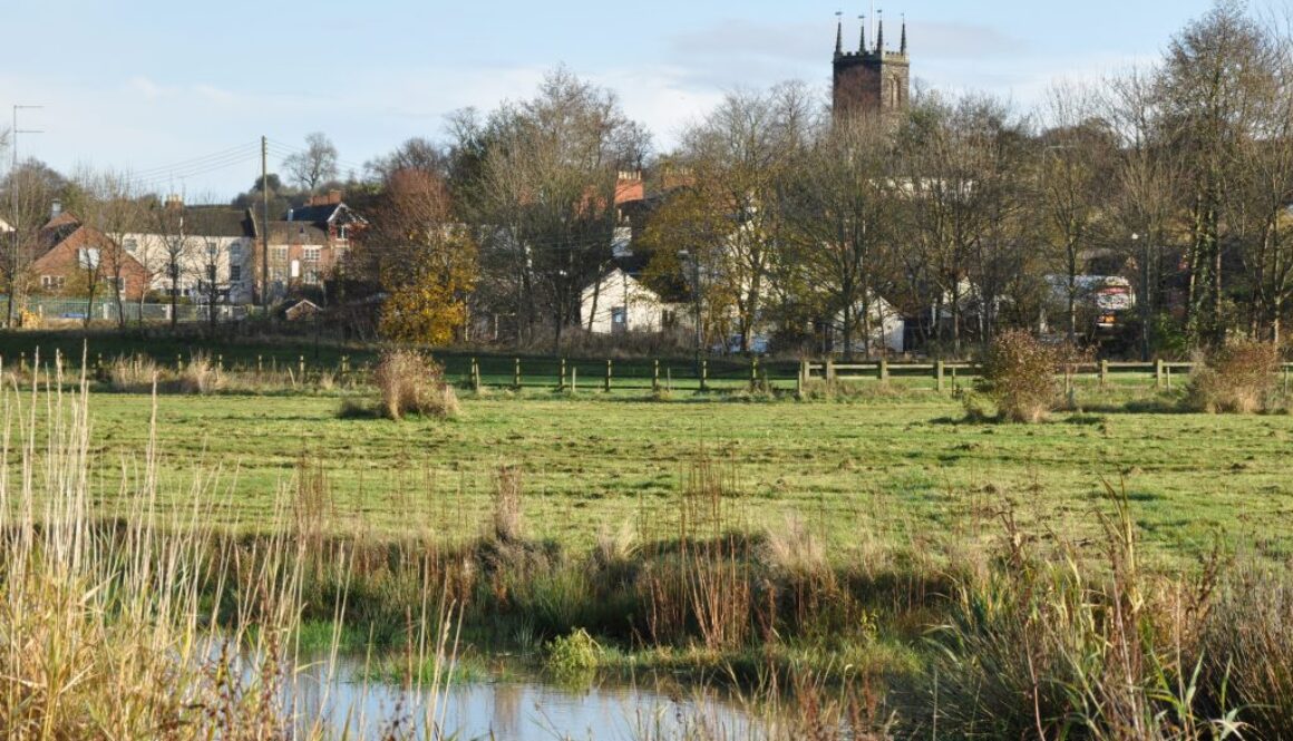 Crown Meadow