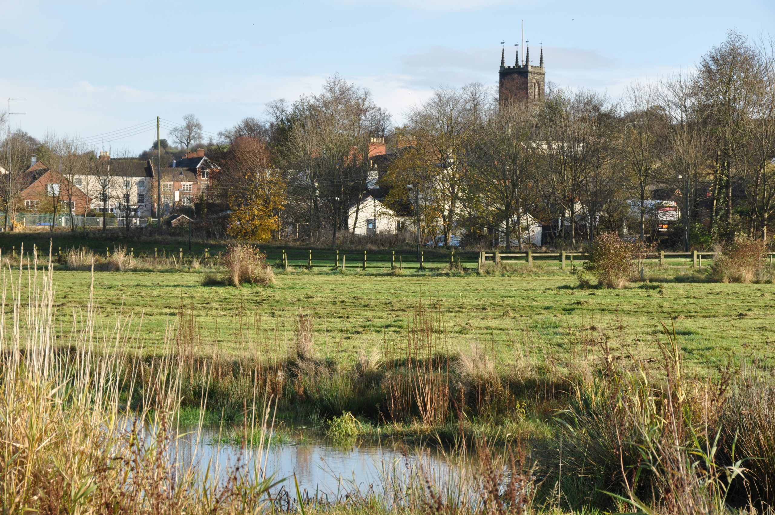 Stone Crown Meadow