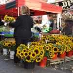 Stone High Street Market Flowers