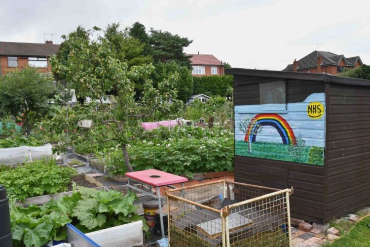 Stone Town Council Allotment Site