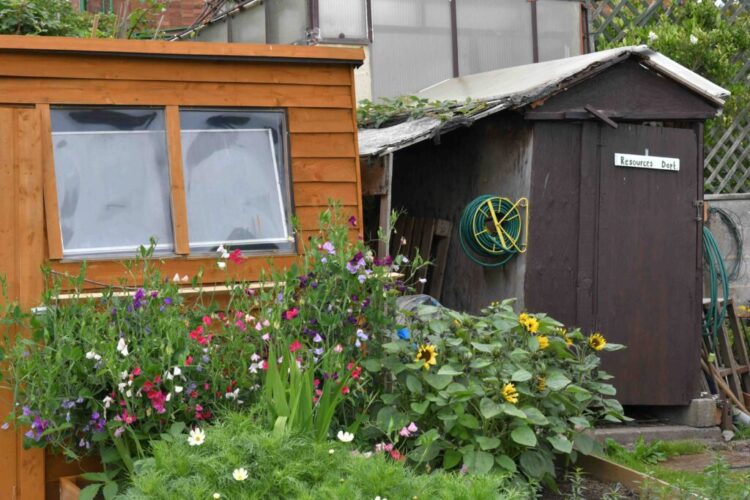 Stone Town Council Allotment Site