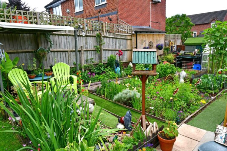 Stone Town Council Allotment Site