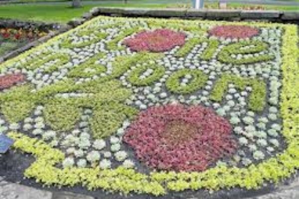 Stone in Bloom - Stonefield Park