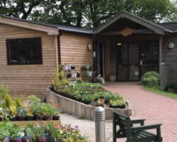 Oak Tree Farm Rural Project