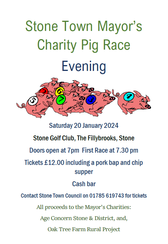 Pig Race Poster 2024