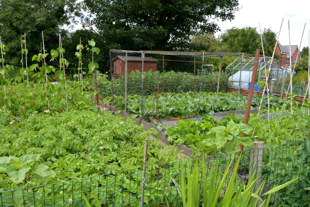 Allotments Competition
