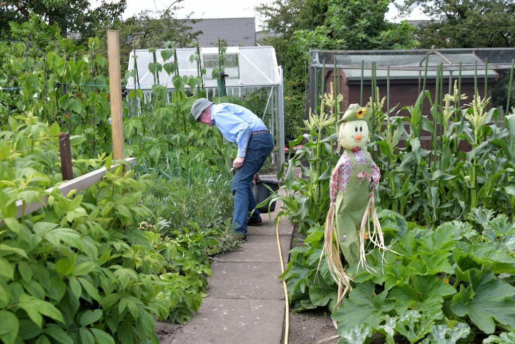 Allotments Competition