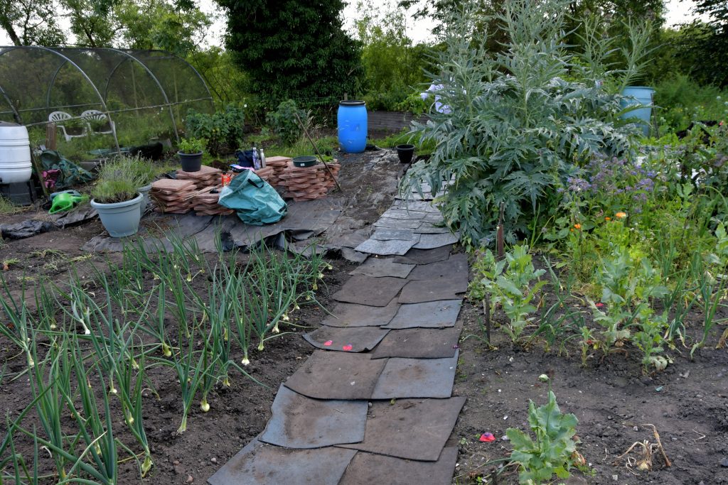 Allotments Competition
