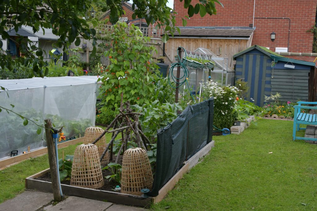 Allotments Competition