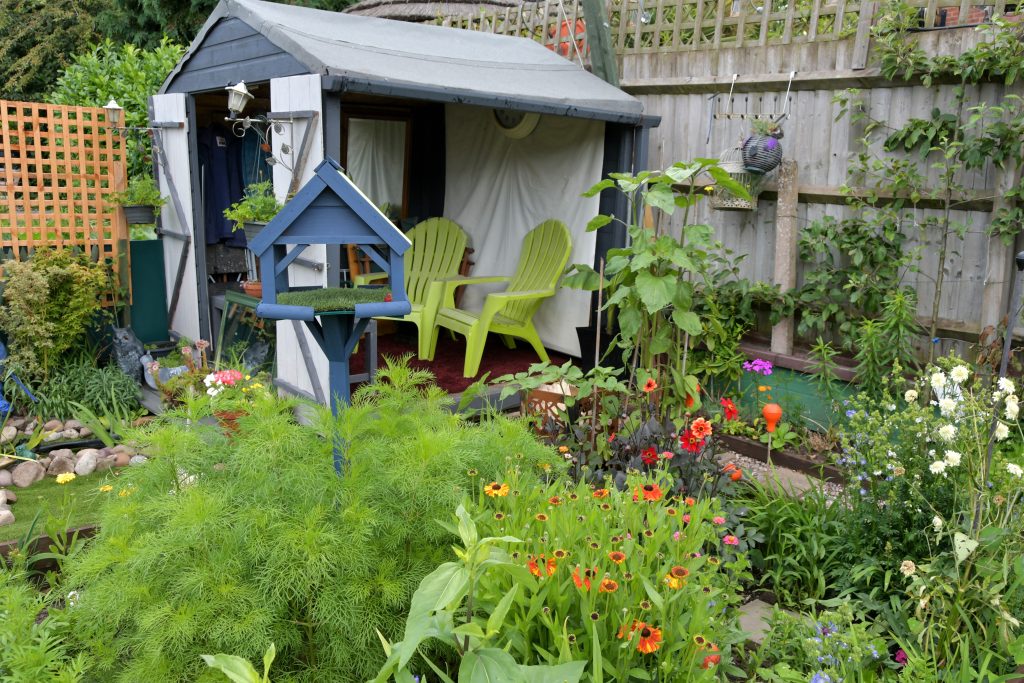 Allotments Competition