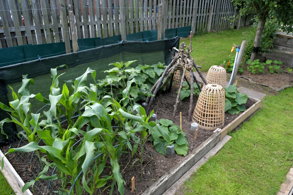 Allotments Competition