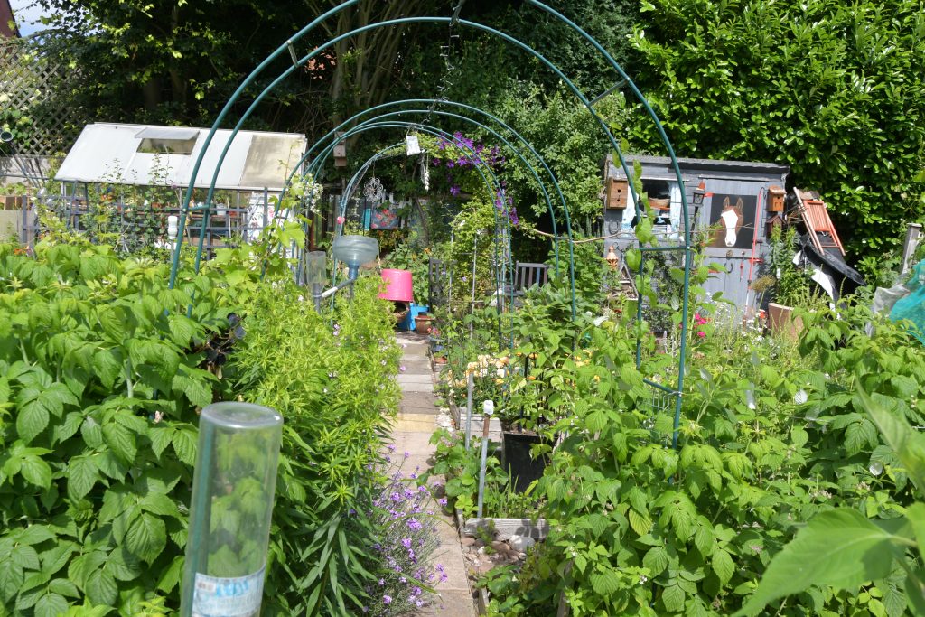 Allotments Competition