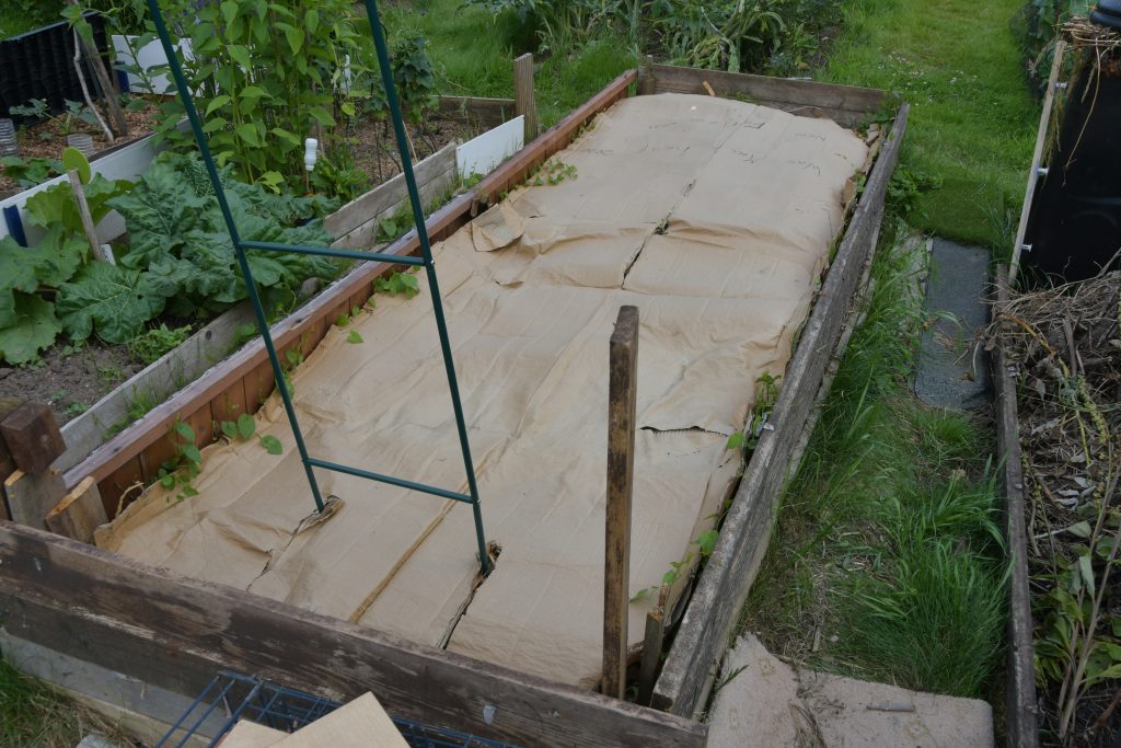 Allotments Competition