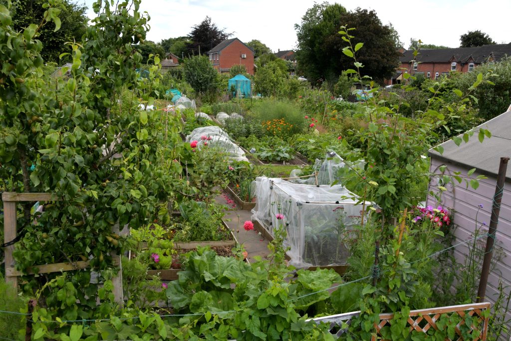 Allotments Competition