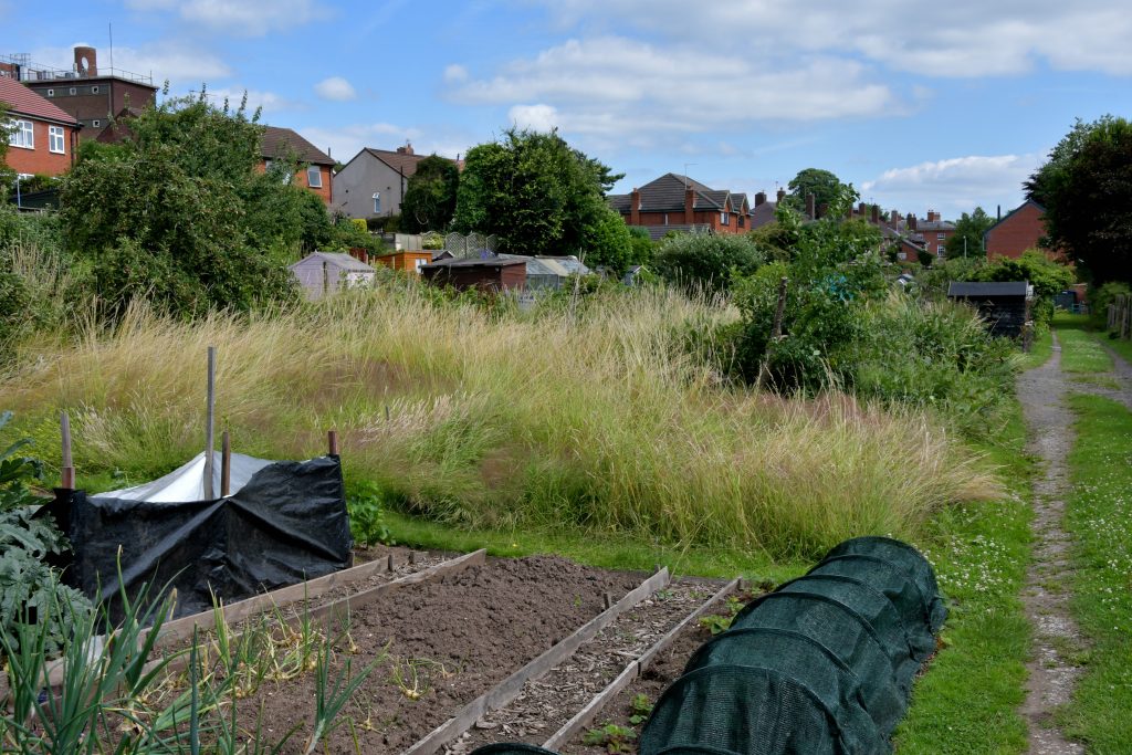 Allotments Competition