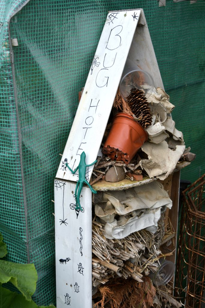 Allotments Competition
