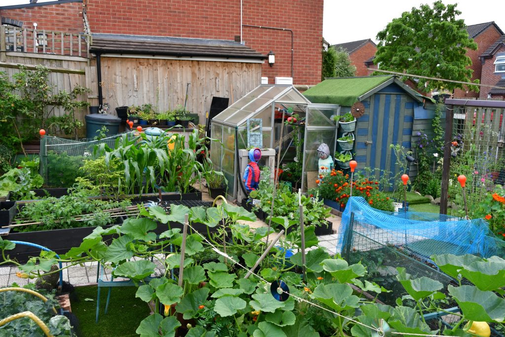 Allotments Competition