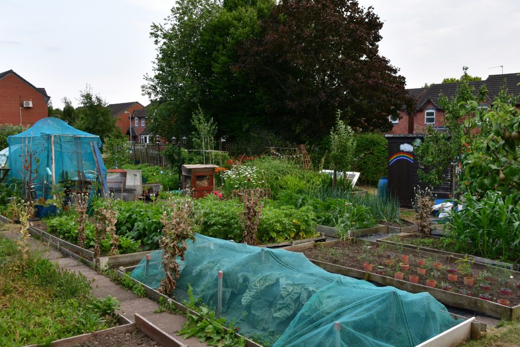 Allotments Competition