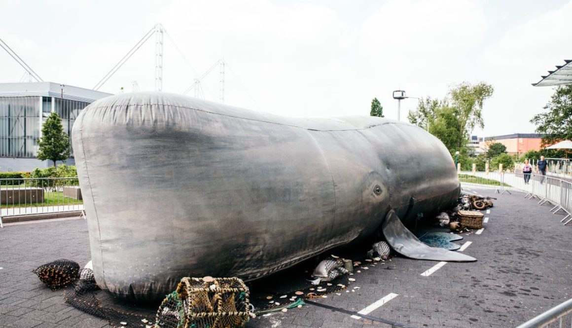 The Whale at Westbridge