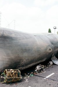 The Whale at Westbridge