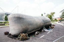 The Whale at Westbridge