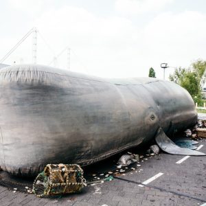 Circo Rum Ba Ba - The Whale 1 The Whale at Westbridge