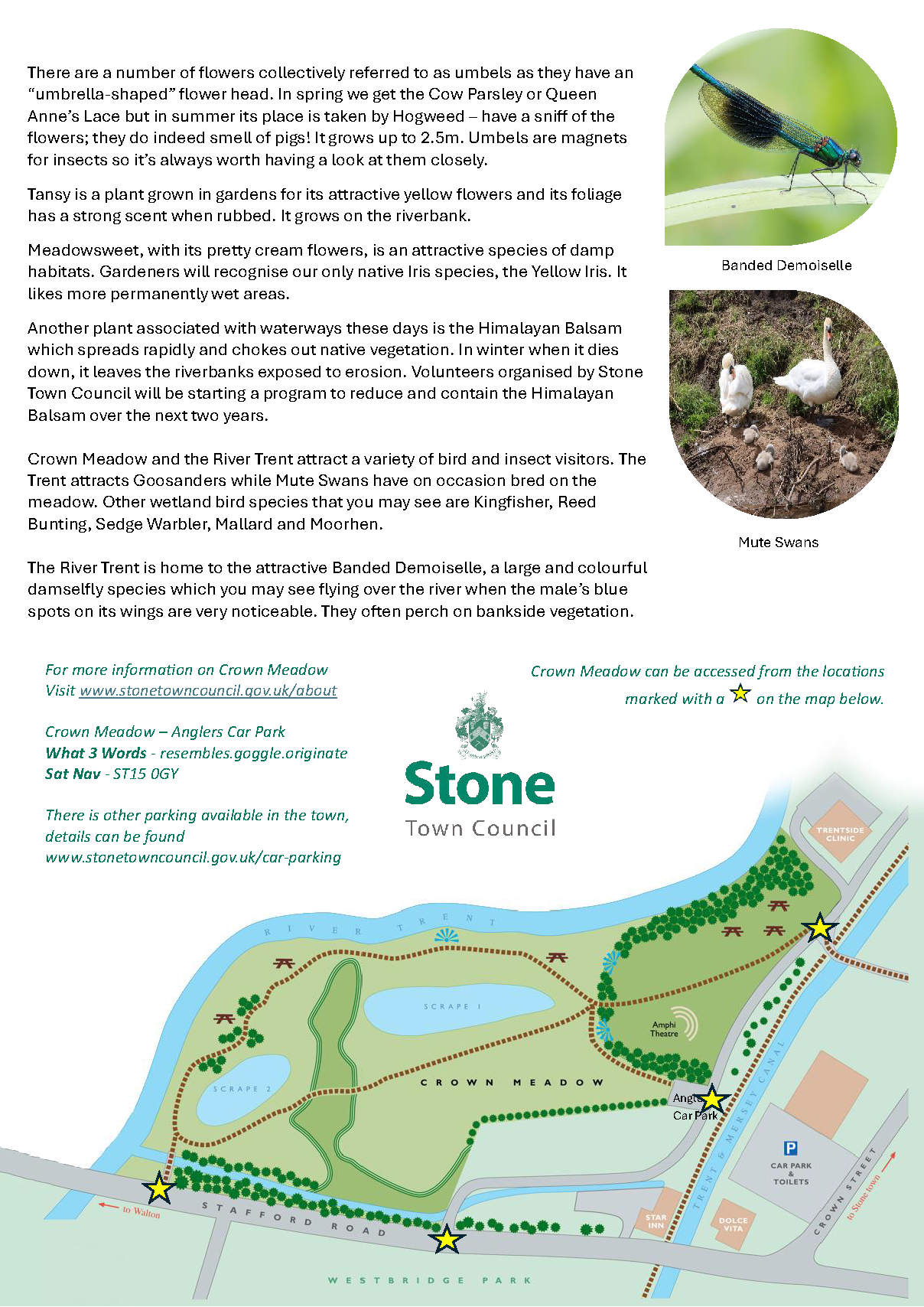 Jul Aug Submission - Crown Meadows Article - FINAL_Page_2 Crown Meadow in Bloom - Progress Highlights and Summer Expectations